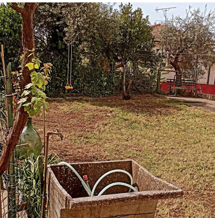 Casa Vacanze Toscana,Lago Di Massaciuccoli Екстер'єр фото