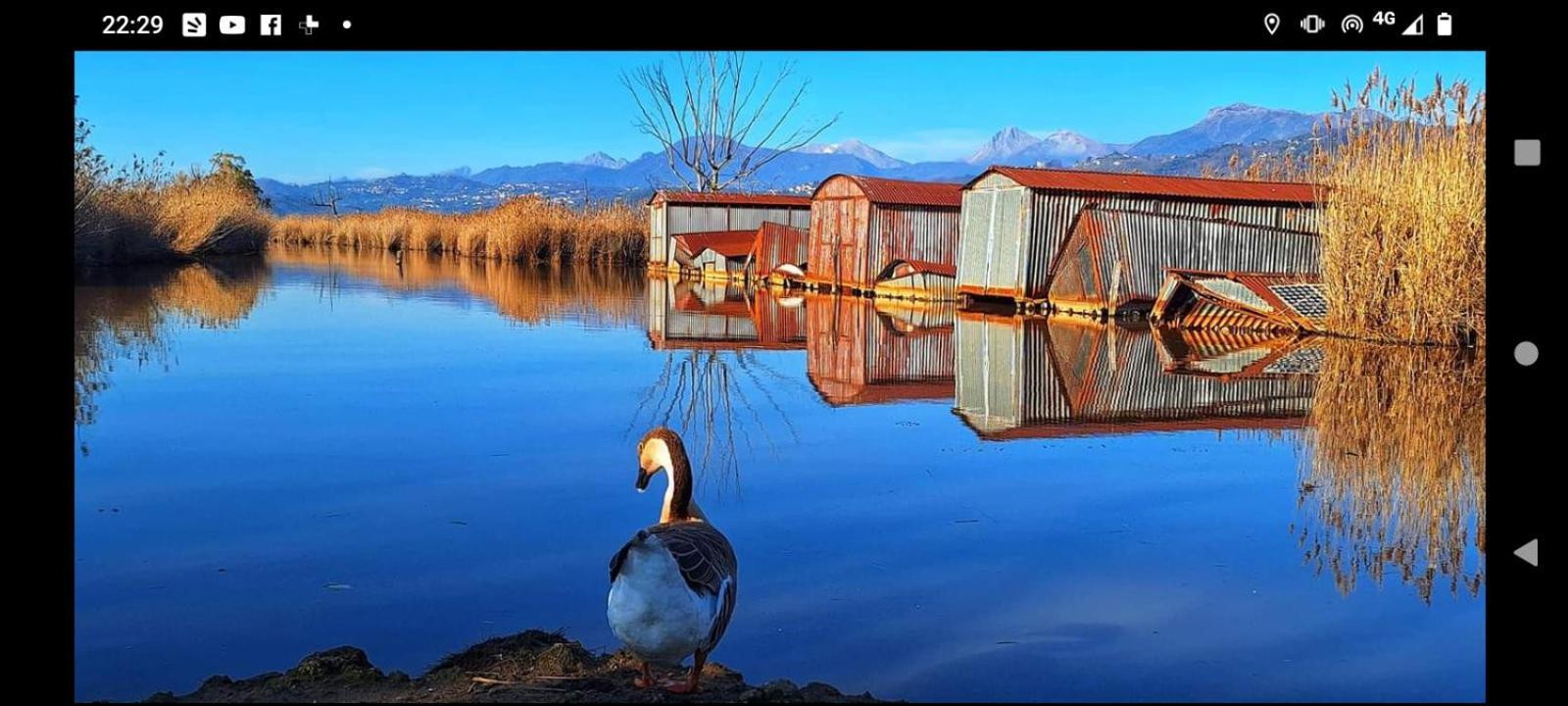Casa Vacanze Toscana,Lago Di Massaciuccoli Екстер'єр фото